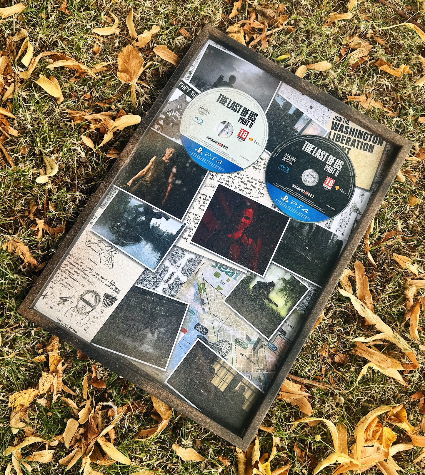 The Last of Us Part 2 image 0