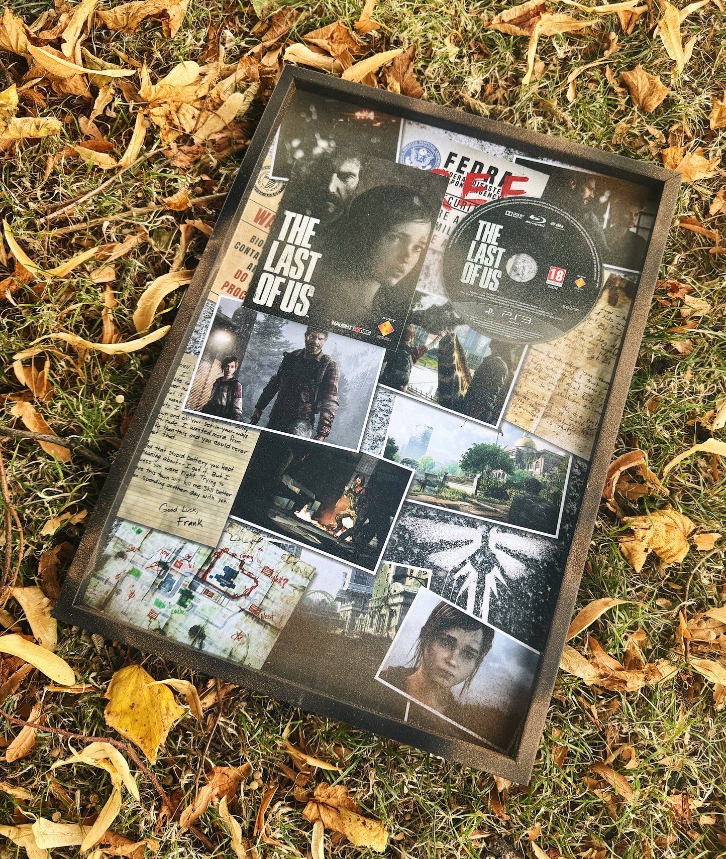 The Last of Us image 0